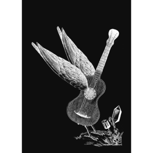 GANZ NEU! Songbuch V